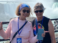Niagara Falls tour review
