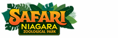 Safari Niagara logo