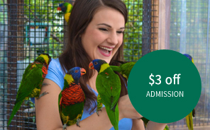 Niagara Falls Bird Kingdom